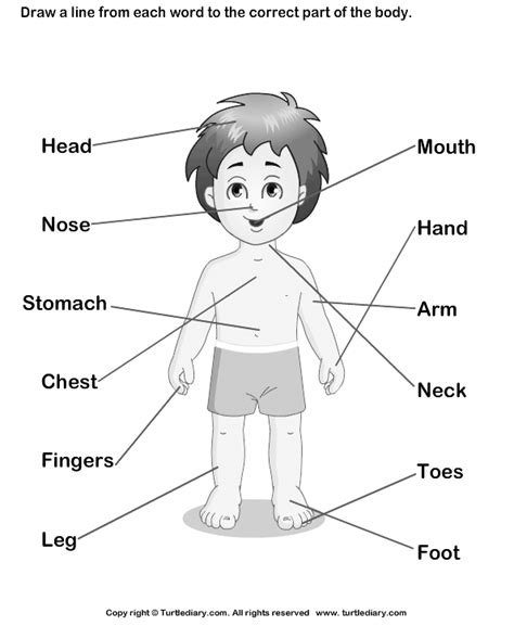 Car parts vocabulary with pictures learning english. Preschool Body Parts Coloring Pages - Coloring Home