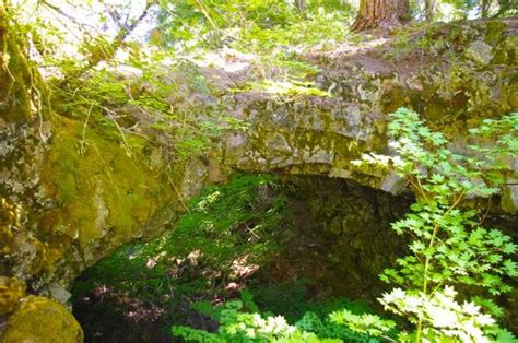 Natural Bridges Trailhead Ford Pinchot Hiking In Portland