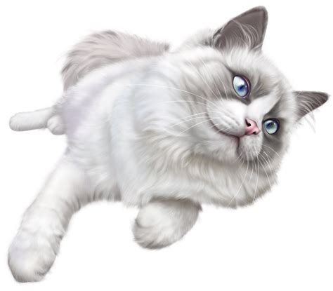 Cat Png Images Cute Cats Transparent Images Free Transparent Png Logos