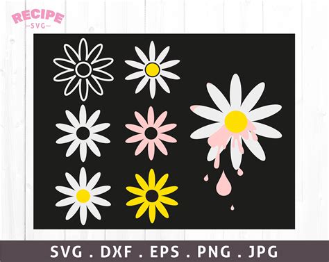 Daisy Svg Daisy Outline Svg Daisies Svg Dripping Daisy Svg Flowers