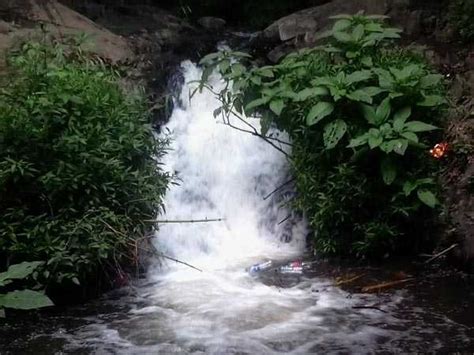 Slogan dapat diartikan sebagai pengaturan dari beberapa kalimat yang unik, menarik, dan pendek. Kebersihan Sebagian dari Iman, Jorok Bagian Budaya Kita ...