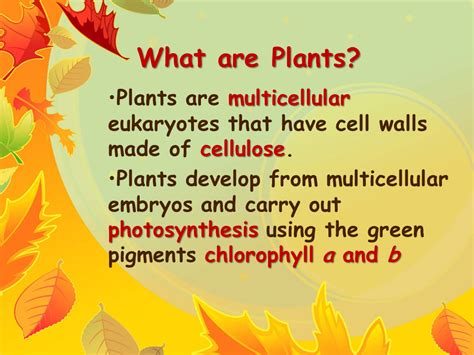 Plant Diversity Presentation Biology