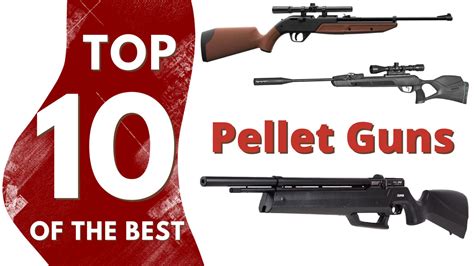 Best Pellet Guns Air Rifles Top 10 Picks