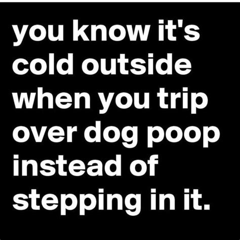 Funny Pictures Of The Day 44 Pics Funny Cold Weather Quotes
