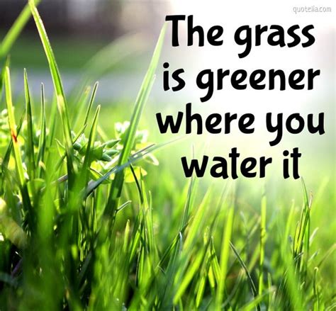 The Grass Is Greener Where You Water It Quotelia