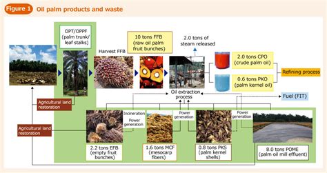 Rebuilding Malaysias Palm Oil Industry Sustainable With Innovative