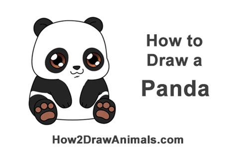 How To Draw A Panda Bear Cartoon Video And Step By Step Pictures