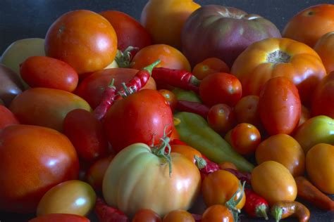Tomatoes And Peppers Free Photo Download Freeimages