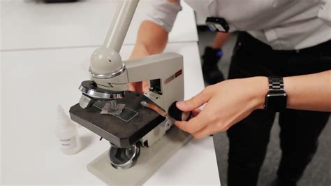 Skills Using A Microscope Preparing A Wet Mount Slide Youtube