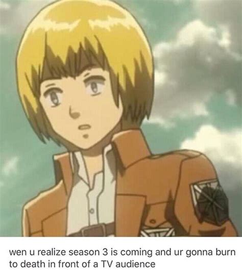 Armin Memes Anime Amino