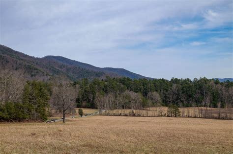 Headed To The Smoky Mountains And The Cades Cove Loop This Is One Of