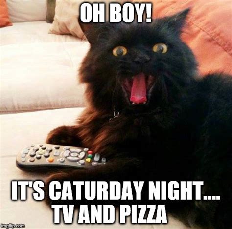 Oh Boy Cat Caturday Night Imgflip
