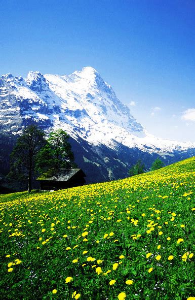 Top 10 Beautiful Mountains Around The World