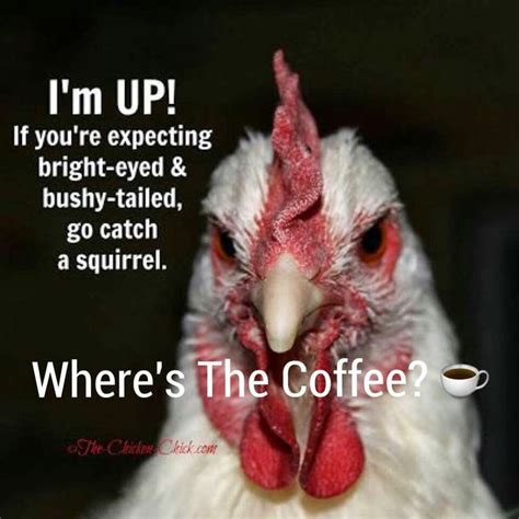Coffee Tuesday Humor Humor Hilarious