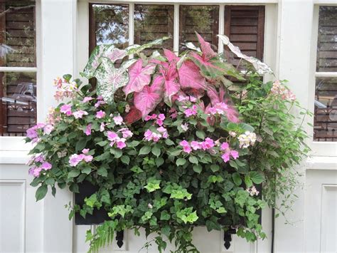 List Of Flower Box Ideas For Shade References