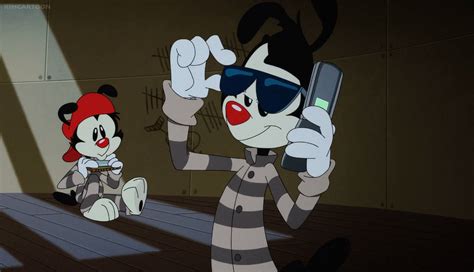 animaniacs 2020 yakko goes professional by yesieguia on deviantart