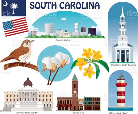 South Carolina Symbols Stock Illustration Download Image Now South