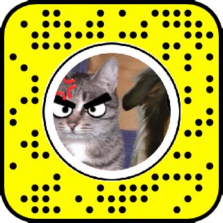 First of all, what is snapchat? Angry Cat Snapchat Lens & Filter #AngryCat, #Cat, #Filter ...