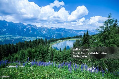 Mountain Lake In The Alps Near Schladming High Res Stock Photo Getty