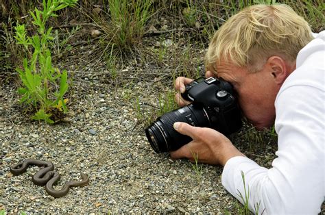 Wildlife Biologists Study Numerous Animals In Their Natural Habitats