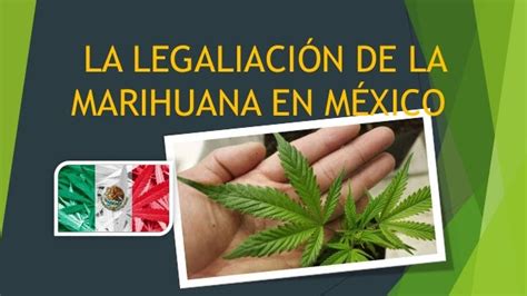 La Legalización De La Marihuana Cannabis En México