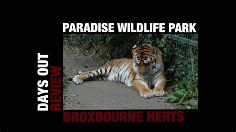 Paradise Wildlife Park Youtube