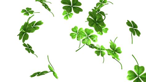 48 Shamrock Wallpapers For Computer Wallpapersafari