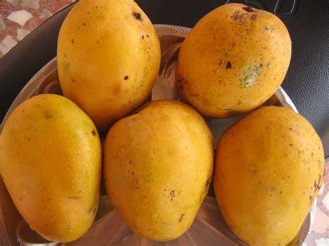 Jamaican Mangoes Learn Jamaican Culture And Patwa