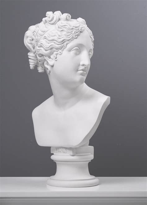 Venus Aphrodite Bust Sculpture Large Greek Goddess Statue Etsy