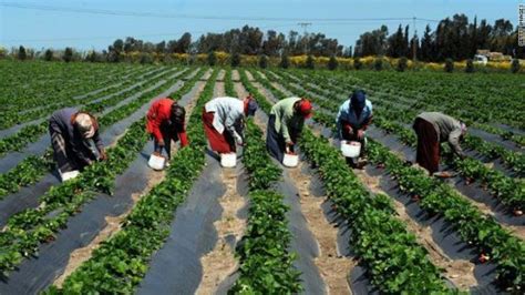 Sénégal Comment Booster Lagriculture