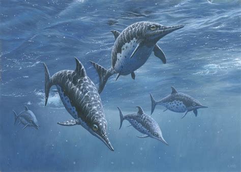 Fóssil De Ichthyosaurus Encontrado Ao Lado De Sua Presa