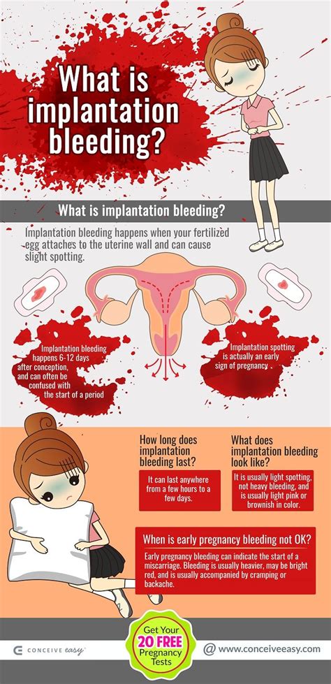 Period Or Early Pregnancy Bleeding