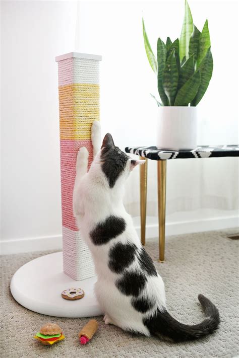 Maybe you would like to learn more about one of these? Colorblocked Scratching Post DIY - A Beautiful Mess