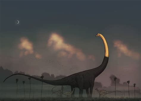 Joschua Knüppe on Twitter in 2021 Ancient animals Prehistoric