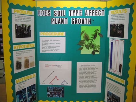 Plants Science Fair Projects Good Science Project Ideas