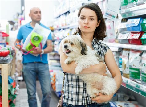 What Stores Allow Dogs Shop With Your Dog