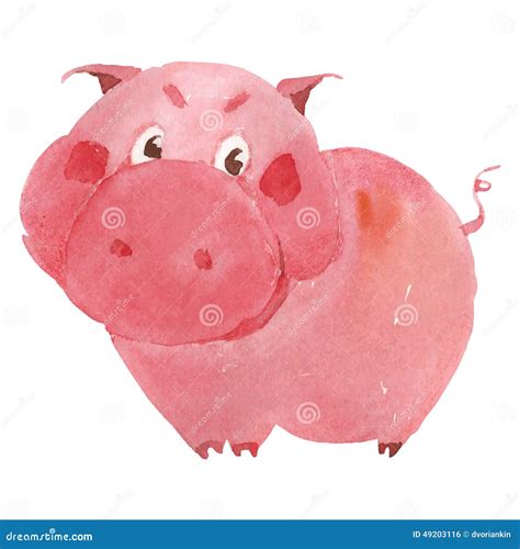 Watercolor Pig Stock Vector Illustration Of Vector Painting 49203116