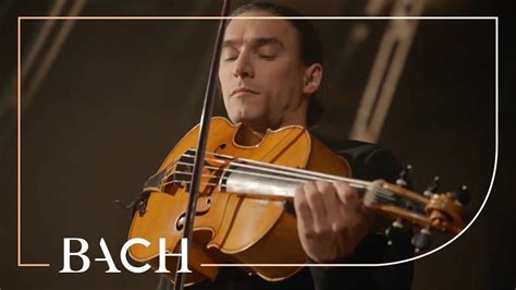 Bach Cello Suite No 6 In D Major Bwv 1012 Malov Netherlands Bach