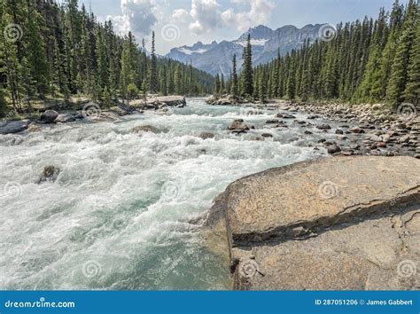 Mistaya River In Banff National Park Stock Photo Image Of Mistaya
