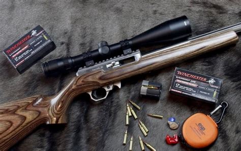 Best 17 Hmr Rifle Buying Guide And Reviews 2020 Gun And Shooter