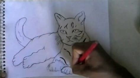 Como Desenhar Um Gato Passo A Passo Youtube
