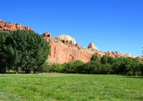 Fruita Parc National De Capitol Reef Ce Quil Faut Savoir