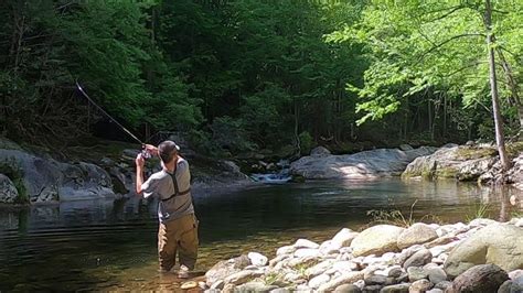 Wilson Creek Nc Trout Fishing Youtube