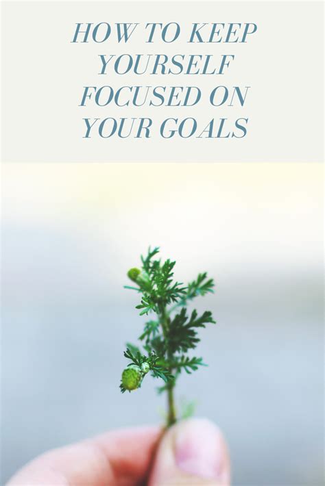 How To Keep Yourself Focused On Your Goals Panash Passion And Career