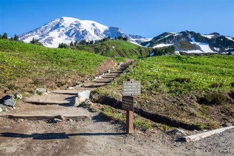 Skyline Trail Loop And Panorama Point Mt Rainier National Park Earth