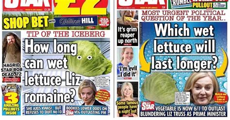 How Daily Stars Liz Vs Lettuce Livestream Went Global And Made Truss Wet Laughing Stock Daily