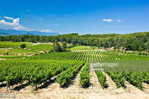 Provence France Vineyard Photos And Premium High Res Pictures Getty