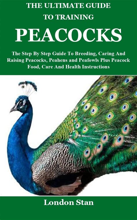 The Ultimate Guide To Training Peacocks The Step By Step Guide To
