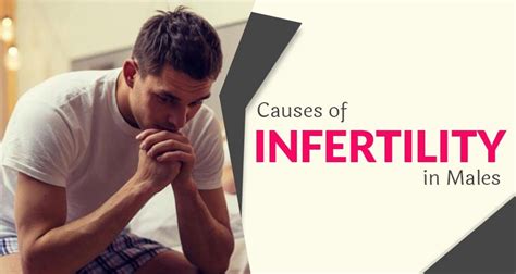 Male Infertility Causes Symptoms Diagnosis And Available Treatment