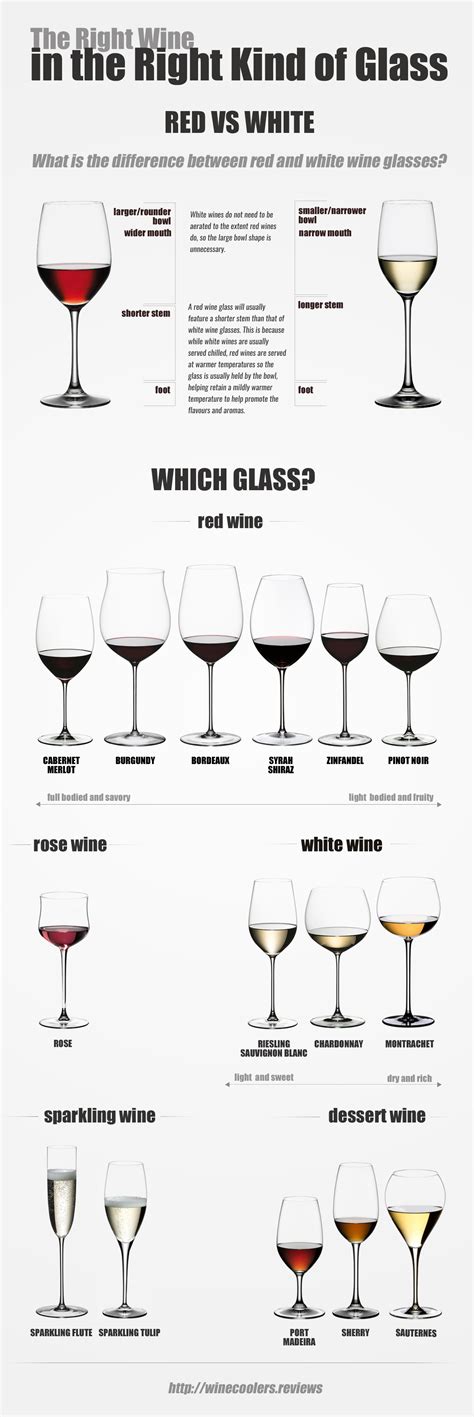 Know Types Of Wine Glasses Infographic Infographic Plaza